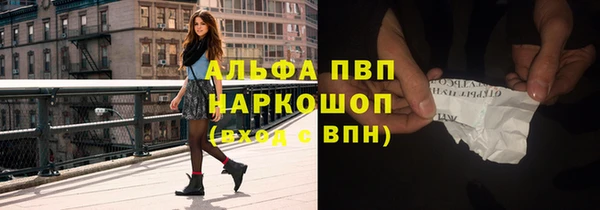 круглые Белокуриха