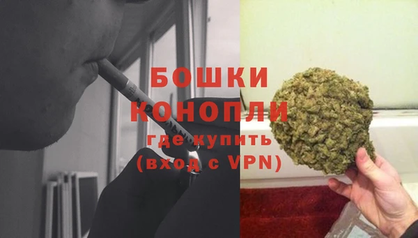 круглые Белокуриха