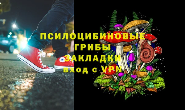 круглые Белокуриха