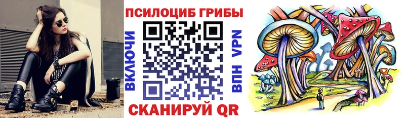 Псилоцибиновые грибы ЛСД  мега как войти  Котельниково 